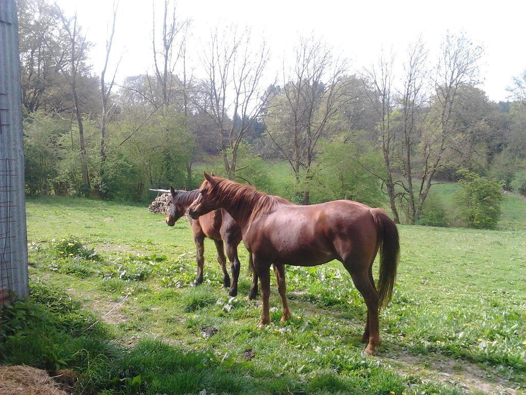 Gite Bella Ebly Kamer foto